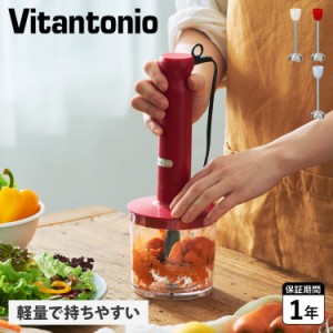 ビタントニオ Vitantonio ハンドブレンダー ハンドミキサー マルチスティック 軽量 離乳食 アタッチメント 計量カップ VHB-20