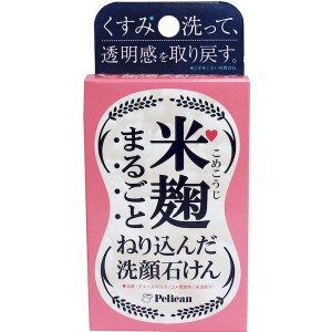 アロエベラ 食用の通販 Au Pay マーケット