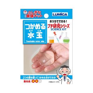 アルギン酸 ナトリウム 自由 研究の通販 Au Pay マーケット