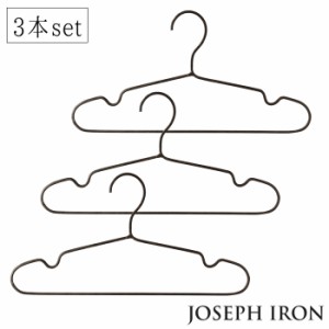 JOSEPH IRON ジョセフアイアン ノンスリップハンガー 3本セット インテリア ディスプレイ 展示 洋服 スパイス DTFF9159