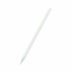 代引不可 iPad用 タッチペン スタイラスペン 傾き検知 誤タッチ防止 磁気吸着ワイヤレス充電対応 ペン先交換可  Apple Pencil 第2世代 対