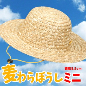 麦わらぼうし ミニ 帽子 ハット HAT 熱中症対策 日焼け防止 UVカット アーテック  2928