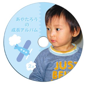 サンワサプライ インクジェットフォト光沢DVD/CDラベル(内径17mm) LB-CDR013N