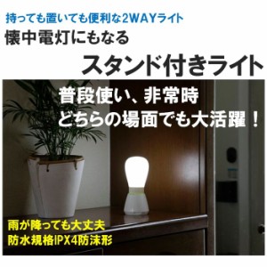 スタンドライト ライト 懐中電灯 持っても置いても便利な2WAYライト 懐中電灯にもなるスタンド付きライト！ 富士パックス h890