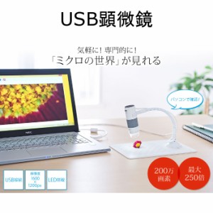 即納 代引不可 顕微鏡 USB パソコン接続 光学倍率250倍 LEDライト 動画撮影やインターバル撮影にも対応 サンワサプライ LPE-07W