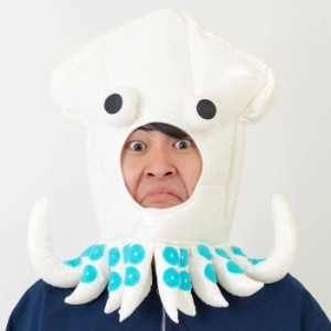 いかキャップ イカ 烏賊 うみ 海 生物 ぼうし 帽子 かぶりもの コスプレ 仮装 変装 グッズ 小道具 おもしろ 爆笑 ルカン 6709