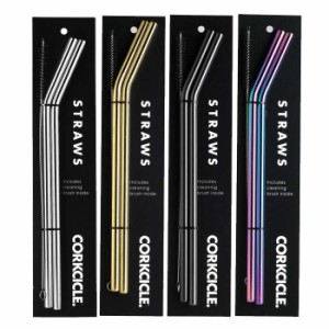 ストロー ステンレス製ストロー コークシクル専用ストロー ステンレスストロー2本 お手入れブラシ付き CORKCICLE STRAWS ステンレス