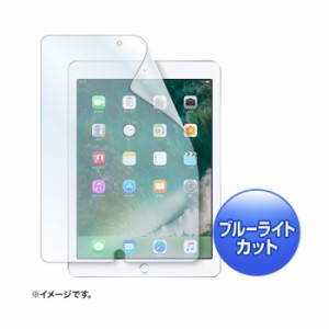 即納 代引不可 Apple9.7インチ iPad2017 用 ブルーライトカット液晶保護指紋防止光沢フィルム サンワサプライ LCD-IPAD8BC