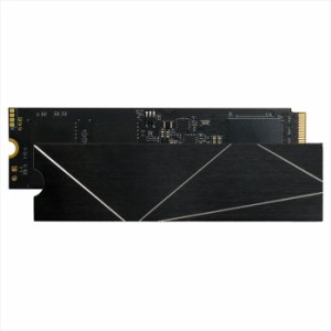 代引不可 内蔵SSD 3D NAND SSD M.2 2TB NVMe PCIe Gen4x4 (2280) ADTEC ADC-M2D2P80-2TB