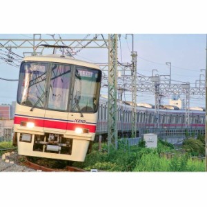 Nゲージ 京王 8000系 未更新車・8014編成 増結用中間車 6両セット 動力無し 鉄道模型 電車 greenmax グリーンマックス 31572