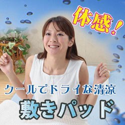 クールでドライな清涼敷きパッド ≪送料無料≫