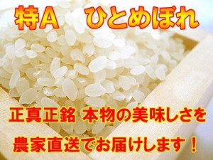 宮城産 ひとめぼれ 『特別栽培米』　白米10ｋ
