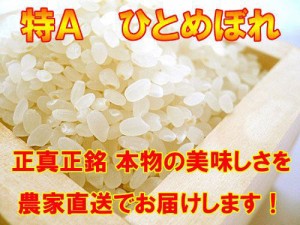 宮城産 ひとめぼれ 『特別栽培米』　白米５ｋ