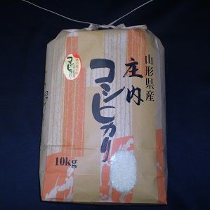 25年産  庄内米 こしひかり（特別栽培米） 10kg