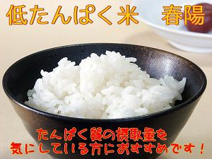 宮城県産　低たんぱく米 『春陽』 白米10ｋ