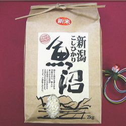 魚沼産コシヒカリ 【特別栽培米】白米2ｋ 【新米】