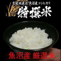 魚沼産コシヒカリ 「特別栽培米」 白米10ｋ