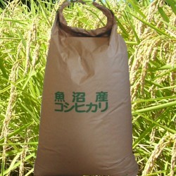 魚沼産コシヒカリ 玄米10ｋ 「減肥栽培米」 【新米】