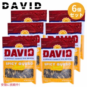 【6個セット】DAVID ひまわりの種 ジャンボサイズ [スパイシーケソ味] 149g David Seeds Jumbo Sunflower Spicy Queso Flavor 5.25oz