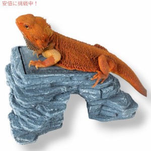 REPTI ZOO レプティ・ズー ヤモリの隠れ家 日光浴台付き Hide Cave with Basking Platform [爬虫類の隠れ家 蓄熱スレート石]