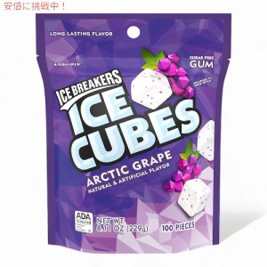 アイスブレーカー ICE BREAKERS アイスキューブ アークティック・グレープ チューイングガム Ice Cubes Arctic Grape