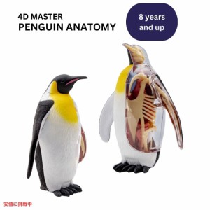 4Dビジョン 皇帝ペンギン 解剖模型 解剖モデル 4D Vision Emperor Penguin Anatomy Model 