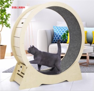 猫用エクササイズホイール Cat Exercise Wheel  室内猫のフィットネス