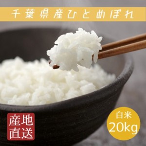 米 お米 白米 20kg 5kg×4袋 ひとめぼれ 令和5年産 本州四国 送料無料 ヒトメボレ