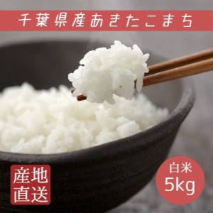 米 お米 白米 5kg あきたこまち 令和5年産 本州四国 送料無料 アキタコマチ 秋田小町 秋田こまち