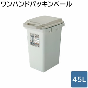 ごみ箱 ダストボックス ワンハンドパッキンペール 45L ゴミ箱 ペール フタ付きごみ箱 フタ付きゴミ箱 おしゃれ キッチン 台所 45リットル