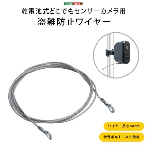 盗難防止ワイヤー 乾電池式 どこでも センサーカメラ用 盗難防止 ワイヤー センサーカメラ 長さ50cm 特殊ボルト 特殊ネジ 簡単に取り外せ