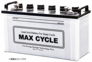 【メーカー取り寄せ】HITACHI EBバッテリー MAX CYCLE サイクルサービス用(電動カート他) EB100-LL 端子タイプ〔1〕