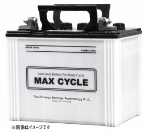 【メーカー取り寄せ】HITACHI EBバッテリー MAX CYCLE サイクルサービス用(電動カート他) EB50-LL 端子タイプ〔1〕