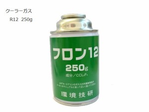 R12 クーラーエアコンガス 250g缶 カーエアコン フロンガス