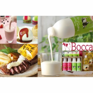 Boccaの乳製品詰め合わせA プリン4個 ドリンク200g×4本 チーズソース 送料無料 【二重包装不可】