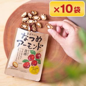 優良配送  送料無料 薬膳おやつ なつめアーモンドスナック 10セット / お菓子 おかし お取り寄せ おすすめ お中元