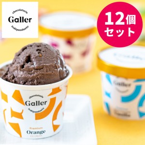 送料無料 ガレープレミアムアイスクリーム12個セット / ガレー アイス スイーツ ベルギー お取り寄せ 通販 お土産 お祝い プレゼント ギ