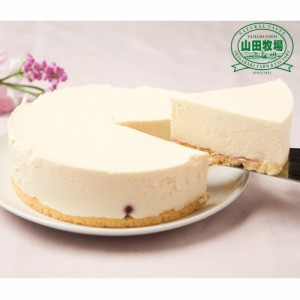 送料無料 ＜滋賀県信楽＞ 山田牧場 芳醇レアチーズケーキ / 洋菓子 スイーツ デザート ブルーベリー お取り寄せ 通販 お土産 お祝い プレ