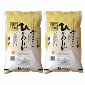 送料無料 宮城 雪蔵仕込 ひとめぼれ 5kg×2 / お米 お取り寄せ グルメ 食品 ギフト プレゼント おすすめ