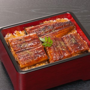 送料無料 宮崎 「鰻楽」 うなぎ蒲焼切り身 50g×4 / お取り寄せ グルメ 食品 ギフト プレゼント おすすめ