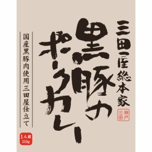 送料無料 三田屋総本家　黒豚のポークカレー20食 / お取り寄せ 通販 お土産 お祝い プレゼント ギフト おすすめ お中元