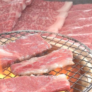 佐賀牛 焼きしゃぶ＆焼肉 セット 計600g 牛肉 焼き肉 送料無料 