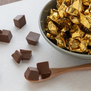 ベルギー ミルクチョコレート 800g 個包装 チョコレート チョコレート菓子 ホワイトデー 2024  送料無料 