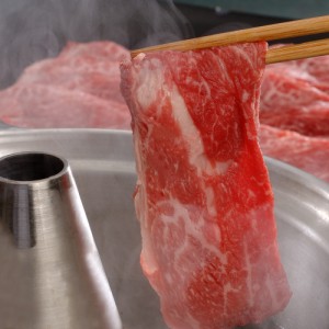 栃木県産 とちぎ和牛 しゃぶしゃぶ用（500g） 牛肉 送料無料 