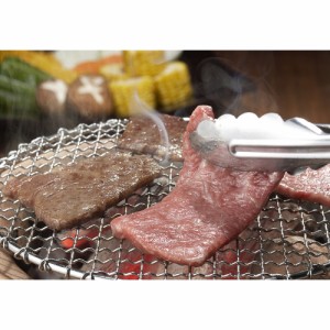熊本県産味彩牛と肥後あそび豚焼肉 セット 計500g 豚肉 送料無料 