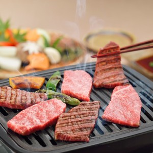 岐阜 ＪＡひだ 飛騨牛もも焼肉用 250g 牛肉 送料無料 