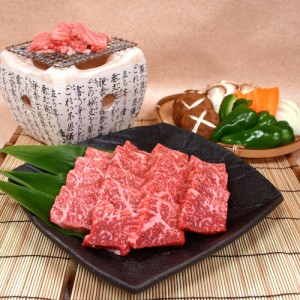 岐阜 ＪＡひだ 飛騨牛もも一口ステーキ用（冷凍） 270g 牛肉 送料無料 