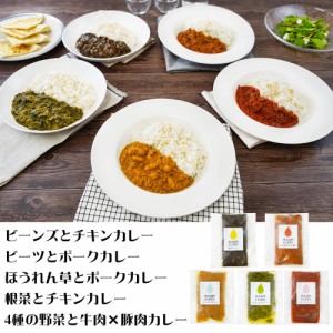 ファイブミニッツ・ミーツ 5種の無水調理カレー 惣菜 カレー 送料無料 【二重包装不可】【お届け不可地域：離島】