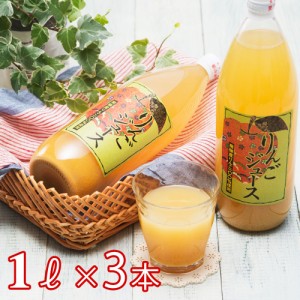 岐阜 JAひだ 飛騨産りんごジュース1L フルーツジュース 送料無料 【二重包装不可】【お届け不可地域：離島】