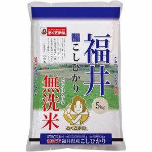 無洗米福井県産こしひかり 5kg 送料無料 